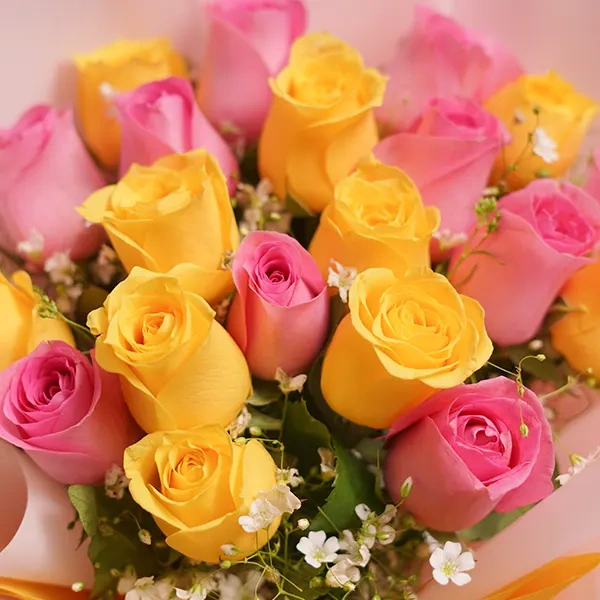 HC9c8Xd7i01736752176456