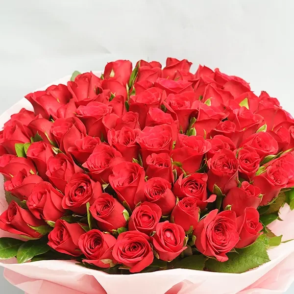 PUwWo1GjMz1726642121841