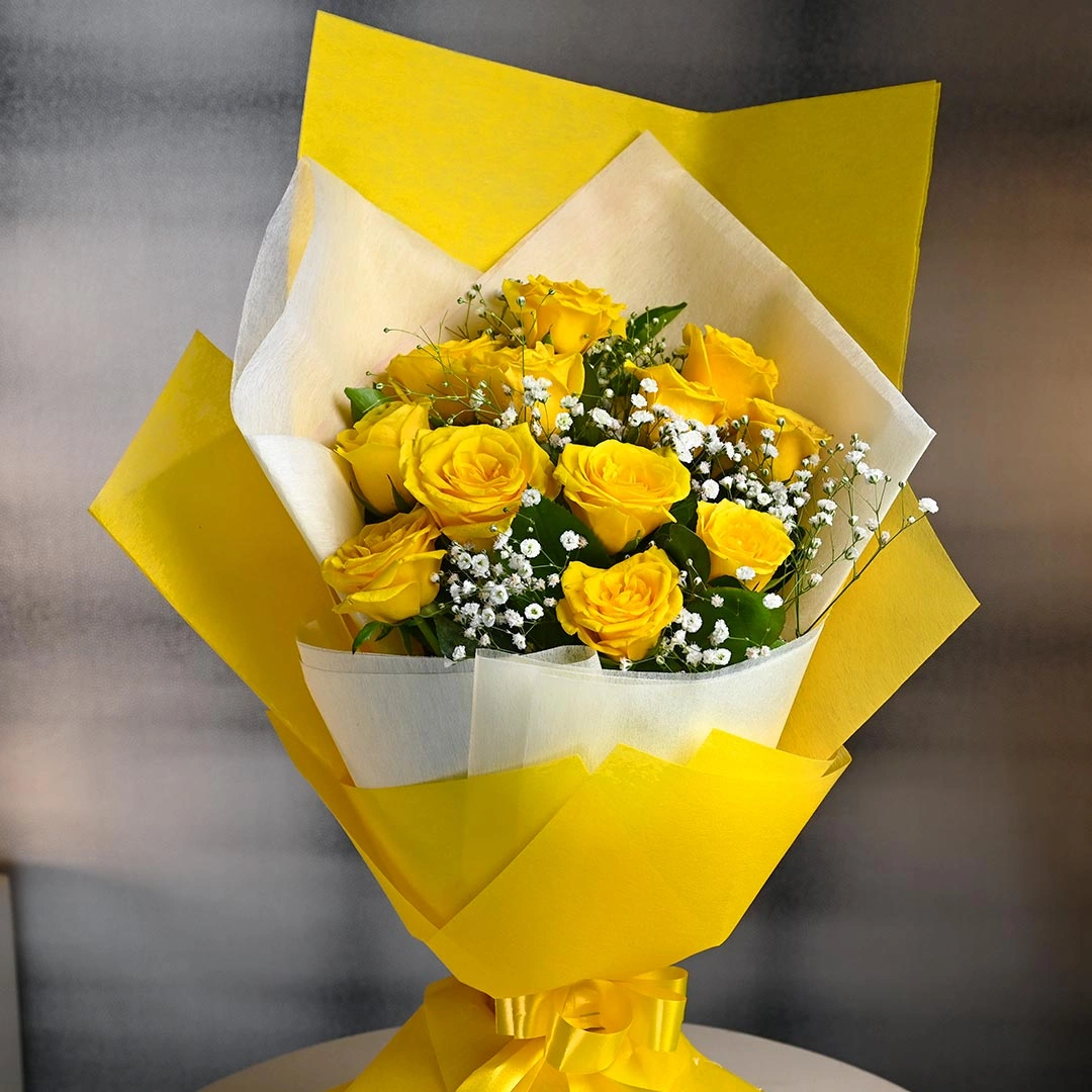 asunnyserenadecollectionb 1