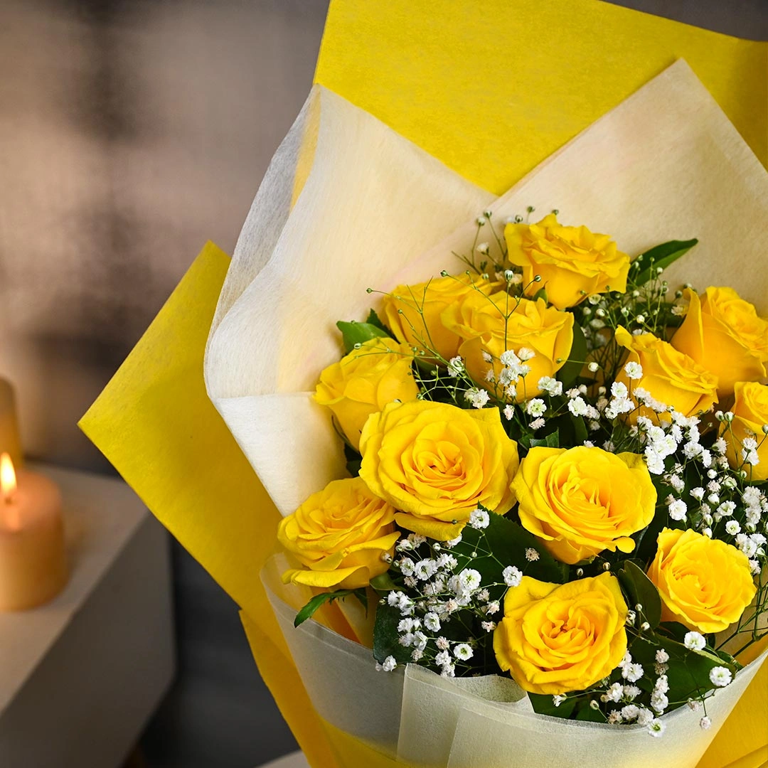 asunnyserenadecollectiond 1