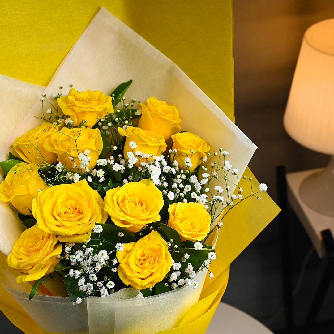 asunnyserenadecollectionc 1