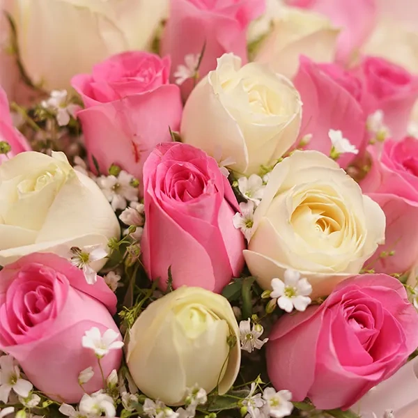 PcVbvjVBGH1736751399767