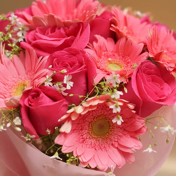 LBMESsGwNx1736592559990