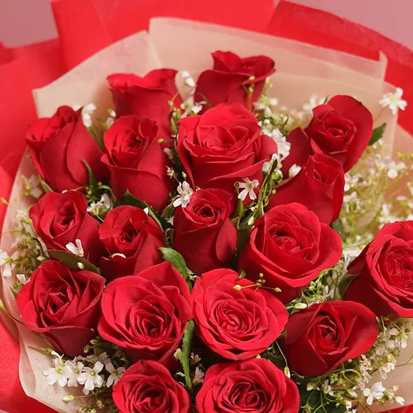 SW5baR8XLA1736753041584