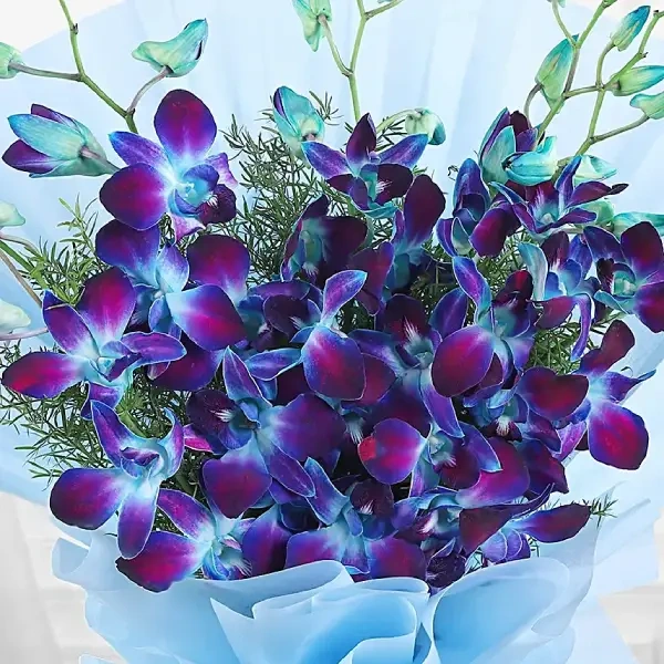 GY0xG5UpMj1758599912310