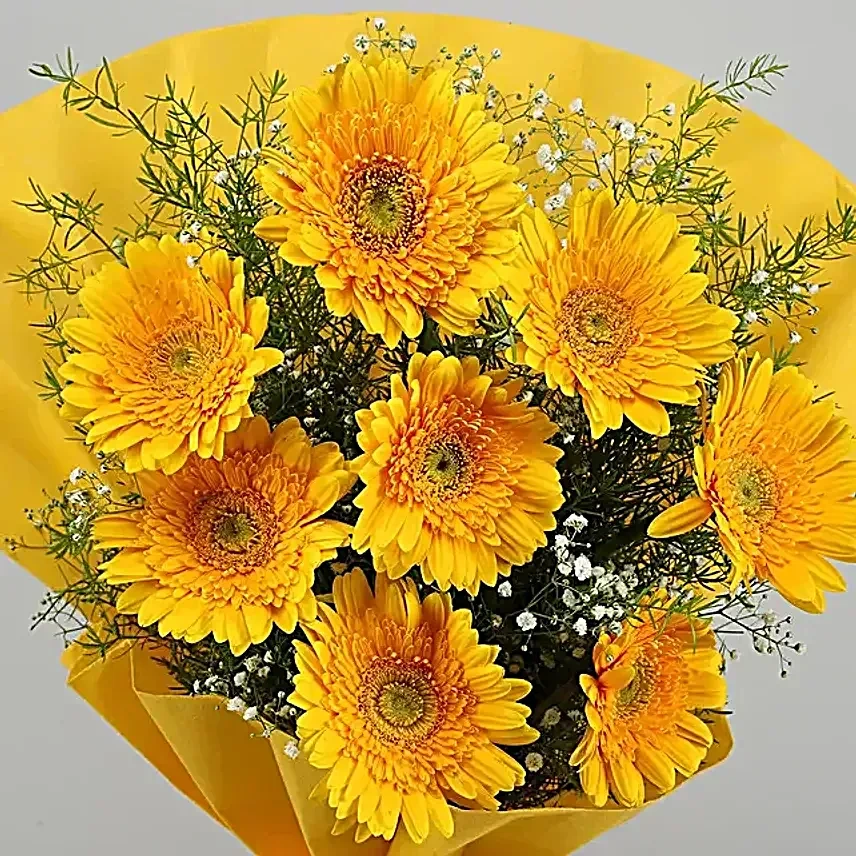 gerberasoffatherlylove4 1