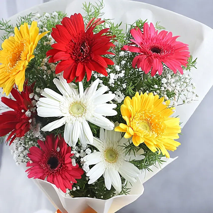 colourfulgerberasnbutterscotchcakecombo6